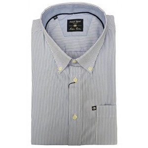Ascot Sport: Camicia celeste a micro-righe con taschino e button-down.