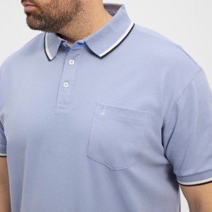 vestibilita-polo-celeste-taglie-forti-north-3xl-6xl