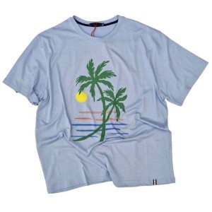 T-shirt Celeste Uomo Taglie Grandi Maxfort (3XL-8XL)