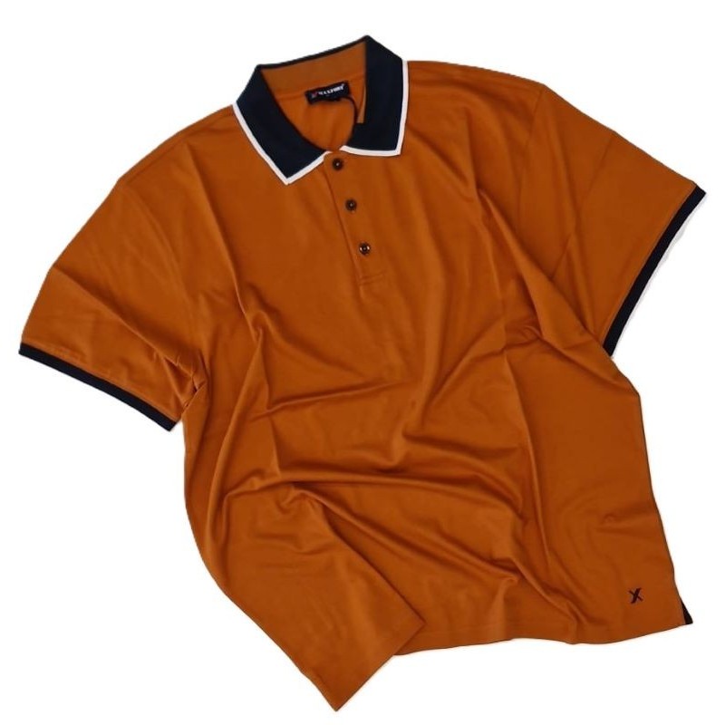 Polo Taglie Forti Maxfort da 3xl alla 8xl | Online