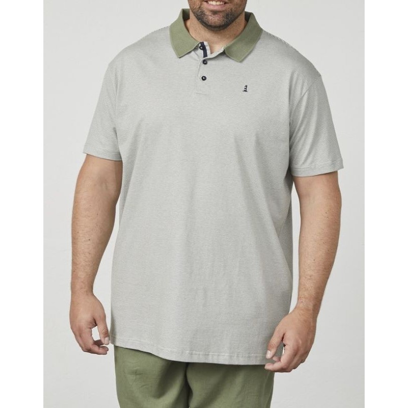 Polo Taglie Grandi Uomo North Verde a Righe - 3XL-6XL